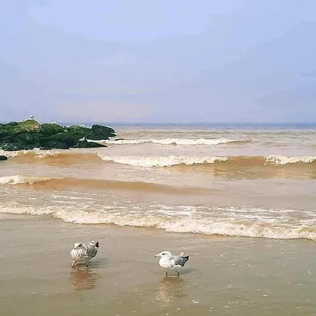 Peaceful Coastal