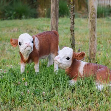 Appartement In With Ocean Views *