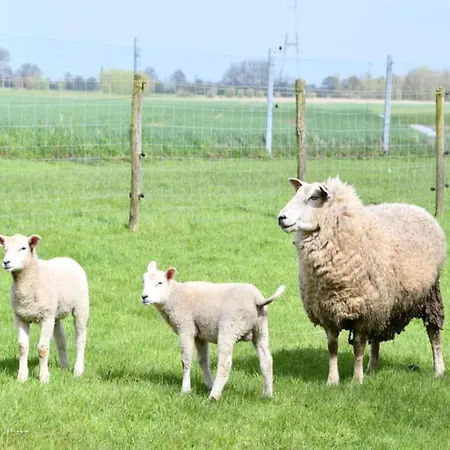 In With Ocean Views * Nieuwpoort