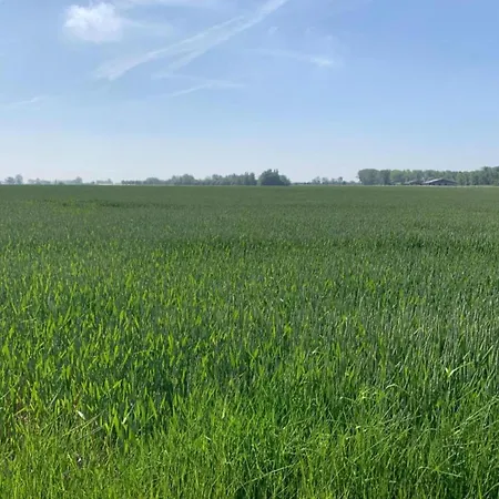 شقة In With Ocean Views نيوبورت